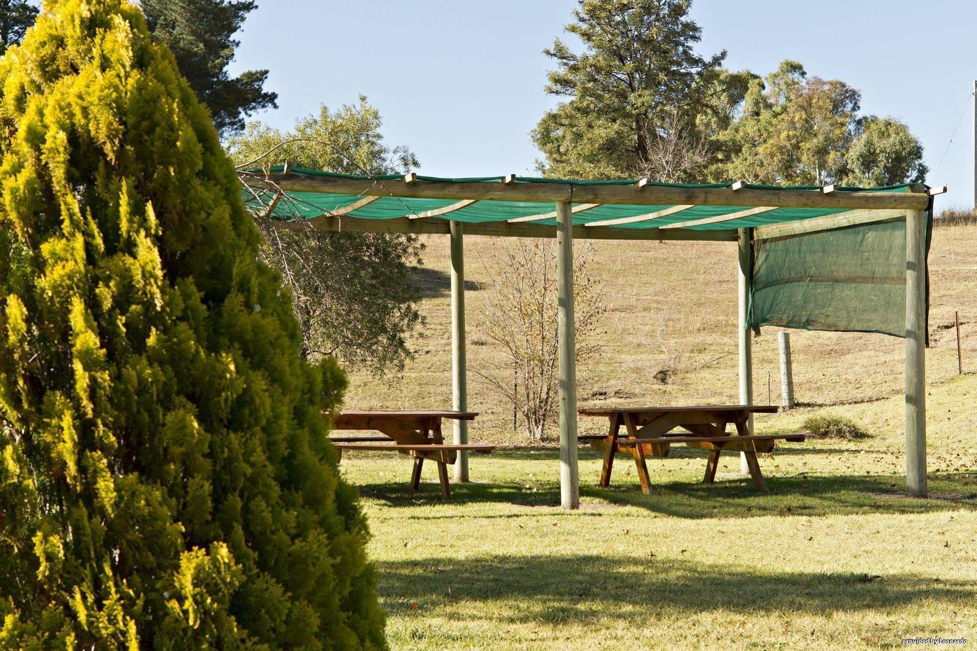 Hilltops Retreat Motor Inn Янг Ресторан фото